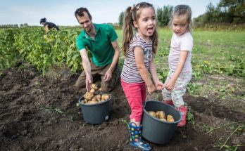 Winnaar Henk Aalderink-prijs toont energie van plattelandsgemeenten