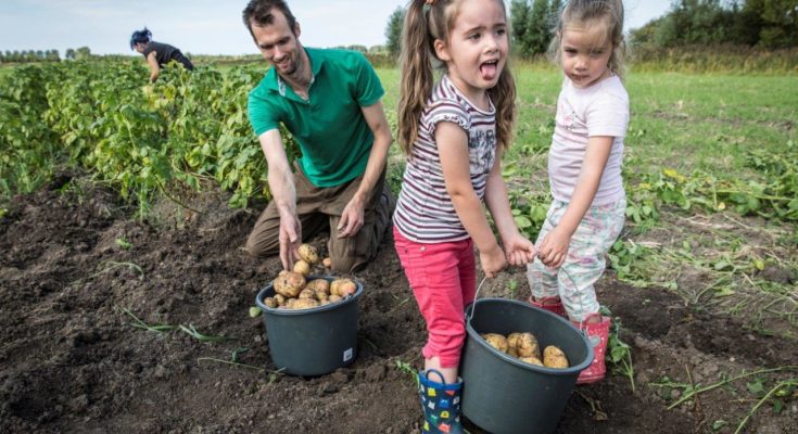 Winnaar Henk Aalderink-prijs toont energie van plattelandsgemeenten