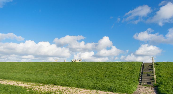 Steeds hogere drempel voor belanghebbende in het Omgevingsrecht