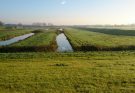 De Polder is dood. Leve de Polder.